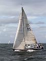 ORCi 384